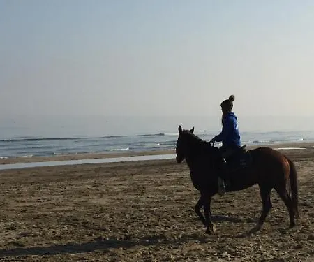 Апарт-готель La Nave