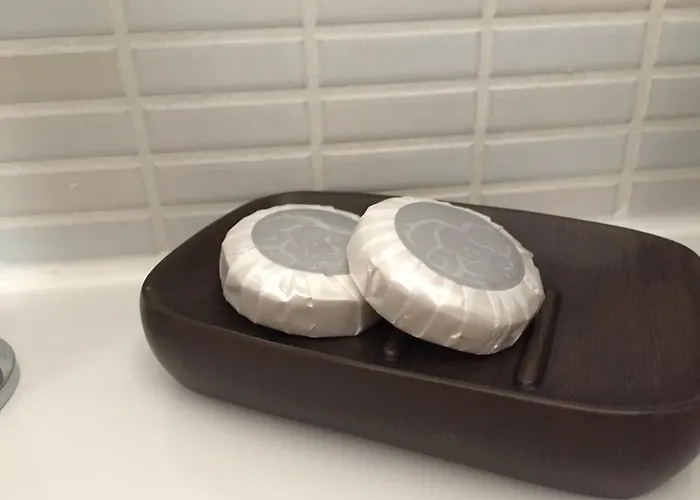 船舶公寓 公寓式酒店 3*