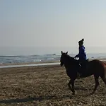 شقة فندقية La Nave
