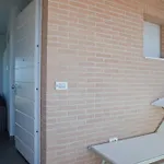 La Nave Senigallia